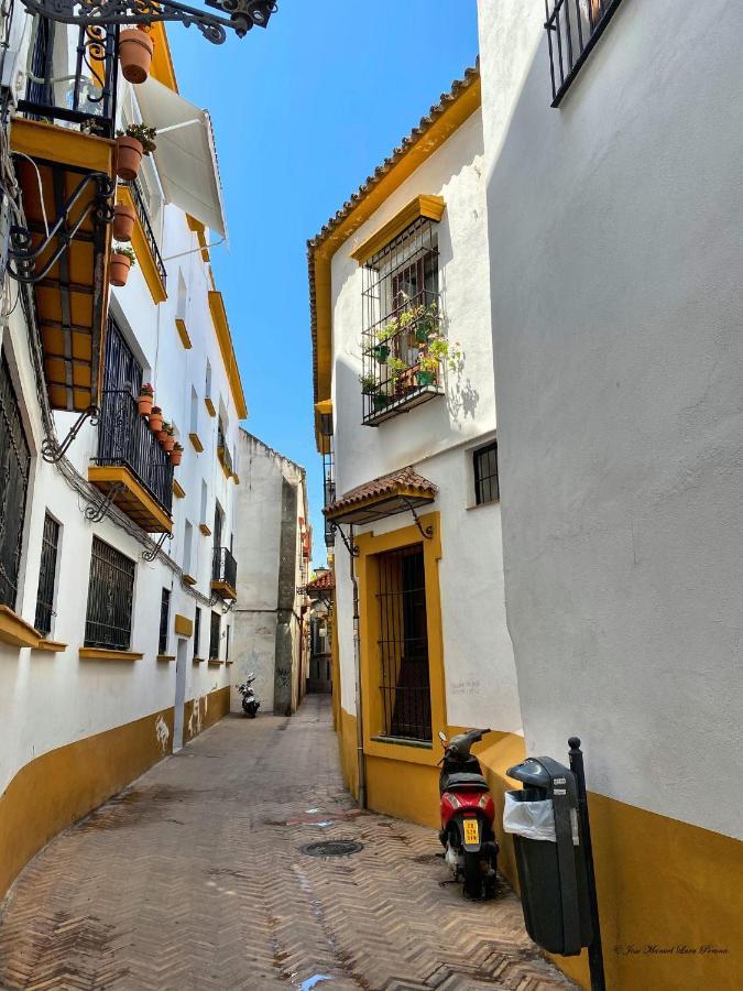 Apartamento San Clemente إشبيلية المظهر الخارجي الصورة