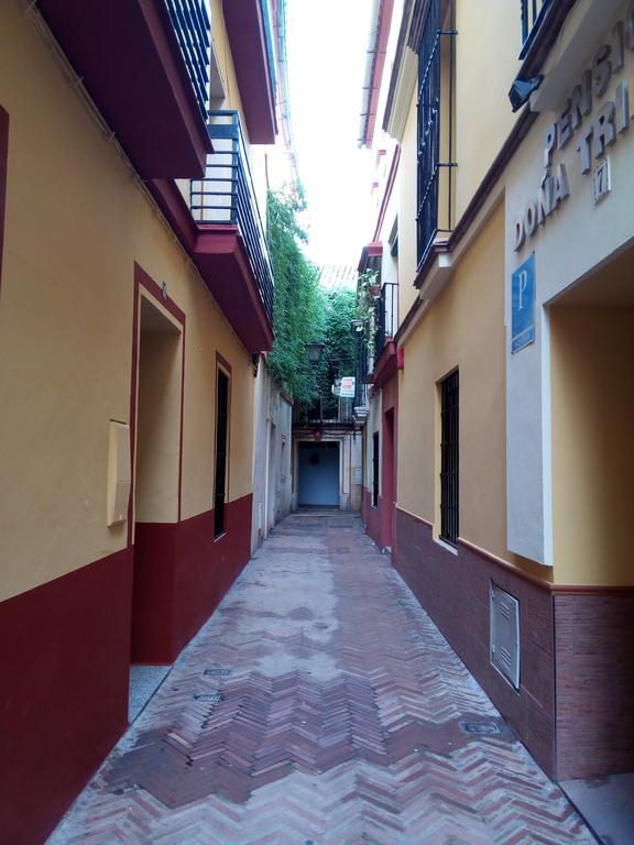Apartamento San Clemente إشبيلية المظهر الخارجي الصورة