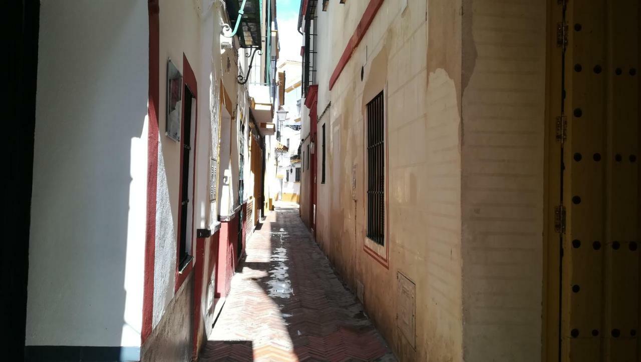 Apartamento San Clemente إشبيلية المظهر الخارجي الصورة