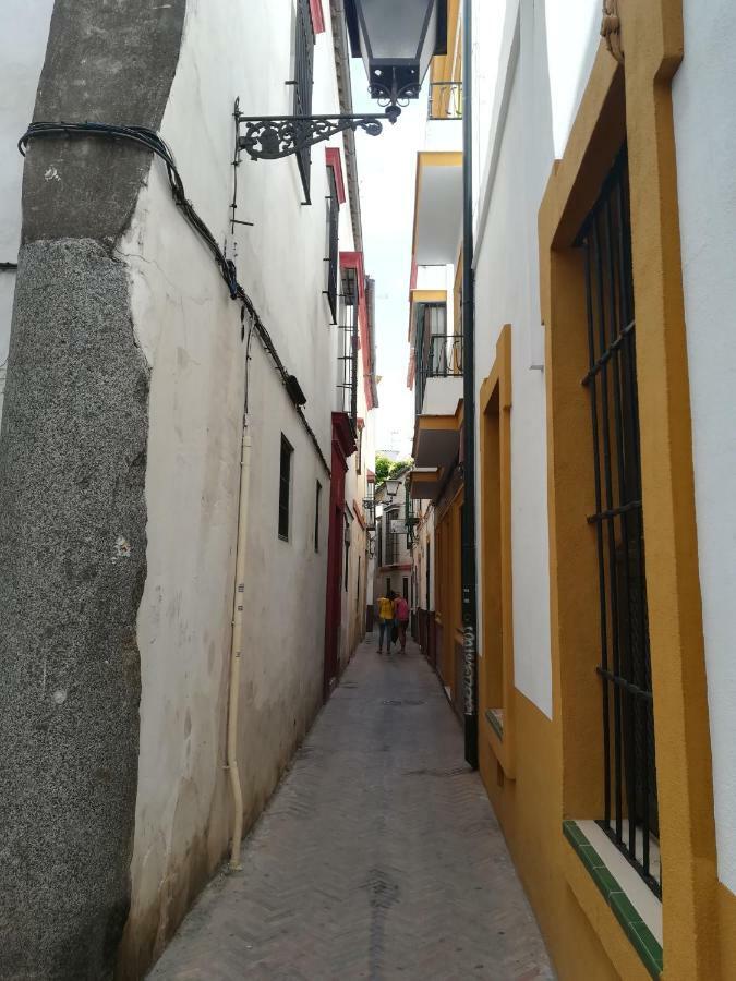Apartamento San Clemente إشبيلية المظهر الخارجي الصورة